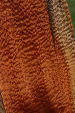 Load image into Gallery viewer, Rustic Pomelle Sapele Live Edge Lumber