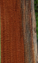 Load image into Gallery viewer, Rustic Museum Grade Pomelle Sapele Live Edge Lumber