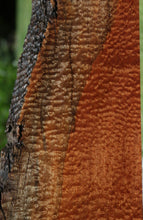 Load image into Gallery viewer, Rustic Pomelle Sapele Live Edge Lumber