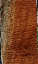 Load image into Gallery viewer, Rustic Pomelle Sapele Live Edge Lumber
