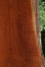 Load image into Gallery viewer, Exhibition Grade Pomelle Sapele Slab