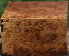 Load image into Gallery viewer, XF Figured Asian Iron Burl Bowl Blank