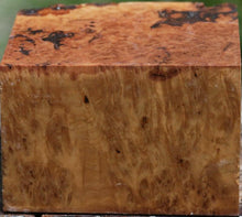Load image into Gallery viewer, Exhibition Grade Asian Iron Burl Bowl Blank