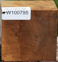 Load image into Gallery viewer, B Grade Asian Iron Burl Bowl Blank
