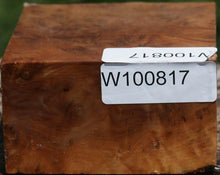 Load image into Gallery viewer, XF Figured Asian Iron Burl Bowl Blank
