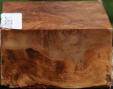 Load image into Gallery viewer, XF Figured Asian Iron Burl Bowl Blank