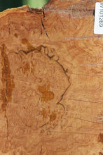 Load image into Gallery viewer, Red Mallee Burl Cap