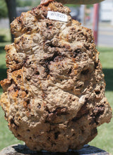 Load image into Gallery viewer, Red Gum Resin Burl Cap