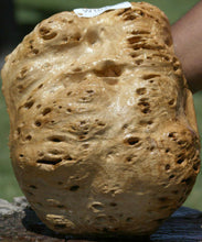 Load image into Gallery viewer, Rustic Red Gum Resin Burl Cap