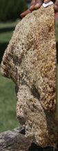 Load image into Gallery viewer, Rustic Red Mallee Burl Cap