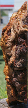Load image into Gallery viewer, Red Gum Resin Burl Cap