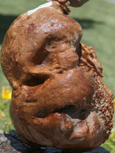 Load image into Gallery viewer, Red Gum Resin Burl Cap