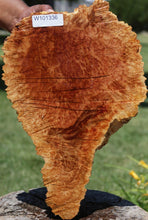 Load image into Gallery viewer, Red Mallee Burl Cap