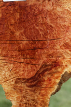 Load image into Gallery viewer, Red Mallee Burl Cap