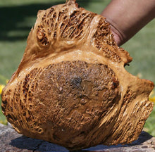Load image into Gallery viewer, Red Gum Resin Burl Cap