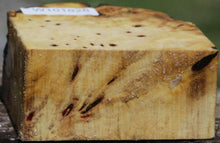 Load image into Gallery viewer, Buckeye Burl Live End Bowl Blank