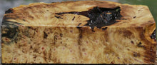 Load image into Gallery viewer, Buckeye Burl Slice
