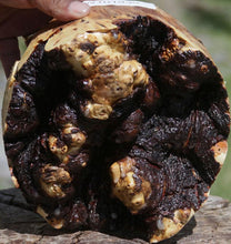 Load image into Gallery viewer, Buckeye Burl Cap