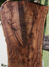 Load image into Gallery viewer, Rustic Claro Walnut Crotchwood Slab