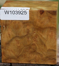 Load image into Gallery viewer, Camphor Burl Bowl Blank