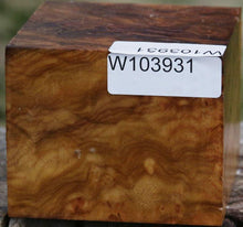 Load image into Gallery viewer, Camphor Burl Bowl Blank
