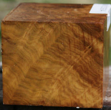Load image into Gallery viewer, Camphor Burl Bowl Blank
