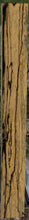 Load image into Gallery viewer, Exhibition Fiddleback Black and White Ebony Lumber