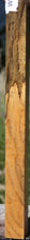 Load image into Gallery viewer, Oak Turning Square