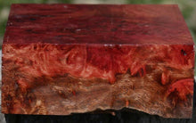 Load image into Gallery viewer, Asian Tiger Burl Bowl Blank