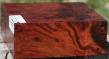 Load image into Gallery viewer, Asian Tiger Burl Bowl Blank