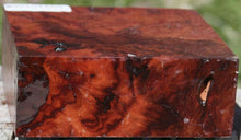 Load image into Gallery viewer, Asian Tiger Burl Bowl Blank