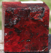Load image into Gallery viewer, Asian Tiger Burl Bowl Blank