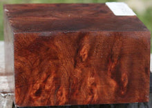 Load image into Gallery viewer, Asian Tiger Burl Bowl Blank