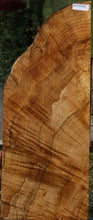 Load image into Gallery viewer, Dyer Oak Burl Mini Slab