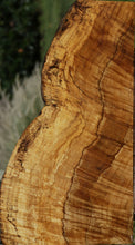 Load image into Gallery viewer, Dyer Oak Burl Live Edge Lumber