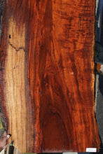 Load image into Gallery viewer, Rustic Curly Hawaiian Koa Slab