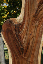 Load image into Gallery viewer, Claro Walnut Slab