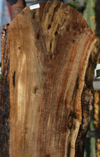 Load image into Gallery viewer, Claro Walnut Profiled Slab