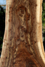 Load image into Gallery viewer, Claro Walnut Profiled Slab