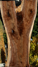 Load image into Gallery viewer, XF Figured Claro Walnut Crotchwood Slab