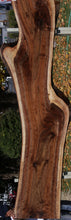 Load image into Gallery viewer, Claro Walnut Slab