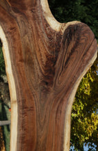 Load image into Gallery viewer, Claro Walnut Slab