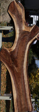 Load image into Gallery viewer, Claro Walnut Slab