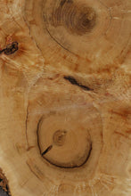 Load image into Gallery viewer, Box Elder Cookie