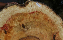 Load image into Gallery viewer, Box Elder Cookie