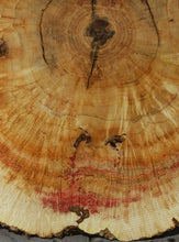 Load image into Gallery viewer, Box Elder Cookie