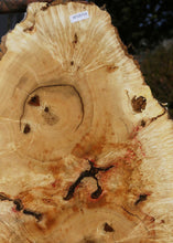 Load image into Gallery viewer, Box Elder Cookie