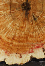 Load image into Gallery viewer, Box Elder Cookie