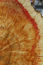Load image into Gallery viewer, Box Elder Cookie
