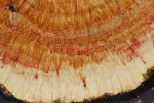 Load image into Gallery viewer, Box Elder Cookie